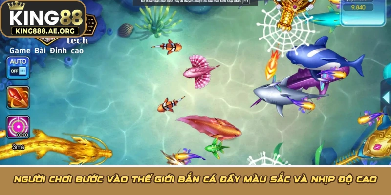 Người chơi bước vào thế giới bắn cá đầy màu sắc và nhịp độ cao Người chơi bước vào thế giới bắn cá đầy màu sắc và nhịp độ cao