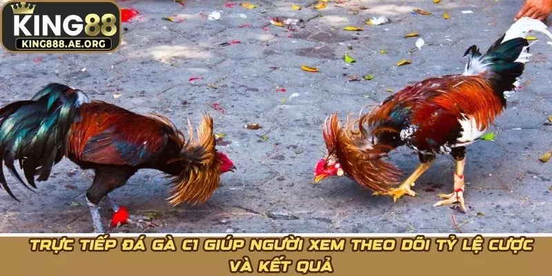 Trực tiếp đá gà C1 giúp người xem theo dõi tỷ lệ cược và kết quả Trực tiếp đá gà C1 giúp người xem theo dõi tỷ lệ cược và kết quả